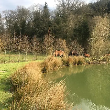 Forges De Pernelle * Couvin