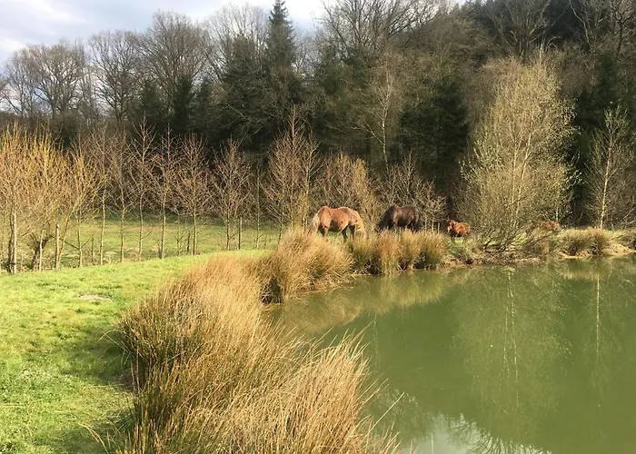 Forges De Pernelle * Couvin